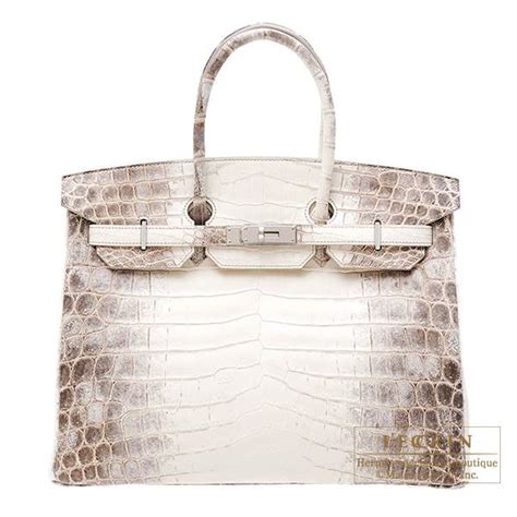 Hermes crocodile skin